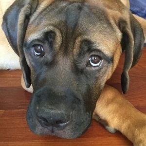 Meet your Posher, Brooke